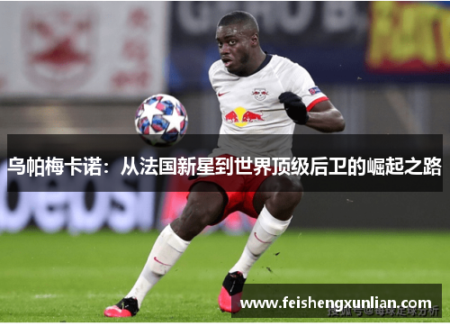 乌帕梅卡诺：从法国新星到世界顶级后卫的崛起之路
