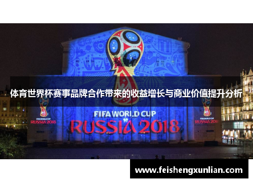 体育世界杯赛事品牌合作带来的收益增长与商业价值提升分析