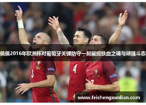 佩佩2016年欧洲杯对葡萄牙关键防守一刻展现铁血之魂与顽强斗志 佩佩2016年欧洲杯对葡萄牙关键防守一刻展现铁血之魂与顽强斗志