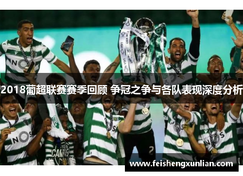 2018葡超联赛赛季回顾 争冠之争与各队表现深度分析