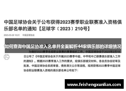 如何查询中国足协准入名单并全面解析44家俱乐部的详细情况 如何查询中国足协准入名单并全面解析44家俱乐部的详细情况