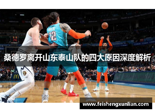 桑德罗离开山东泰山队的四大原因深度解析 桑德罗离开山东泰山队的四大原因深度解析