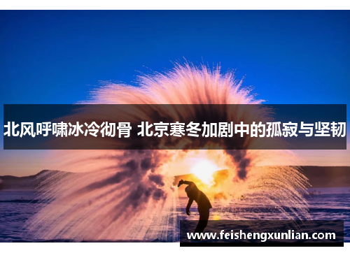 北风呼啸冰冷彻骨 北京寒冬加剧中的孤寂与坚韧 北风呼啸冰冷彻骨 北京寒冬加剧中的孤寂与坚韧