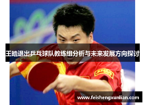 王皓退出乒乓球队教练组分析与未来发展方向探讨
