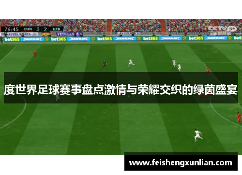 度世界足球赛事盘点激情与荣耀交织的绿茵盛宴