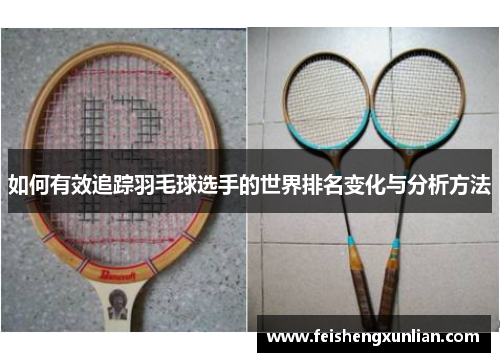 如何有效追踪羽毛球选手的世界排名变化与分析方法 如何有效追踪羽毛球选手的世界排名变化与分析方法