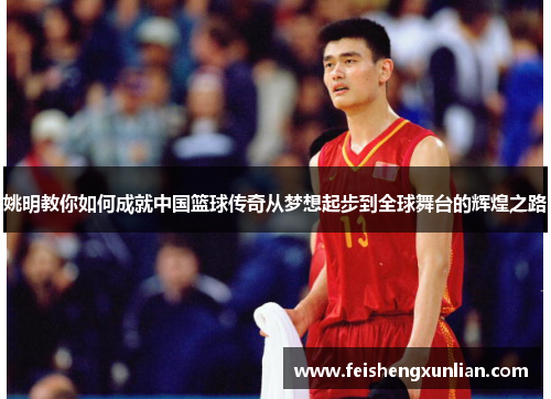 姚明教你如何成就中国篮球传奇从梦想起步到全球舞台的辉煌之路 姚明教你如何成就中国篮球传奇从梦想起步到全球舞台的辉煌之路