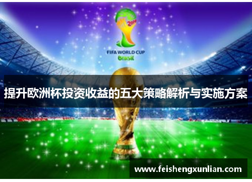 提升欧洲杯投资收益的五大策略解析与实施方案