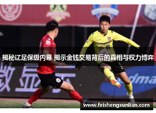 揭秘辽足保级内幕 揭示金钱交易背后的真相与权力博弈
